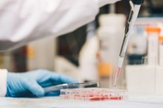 Master in Microbiota - 1